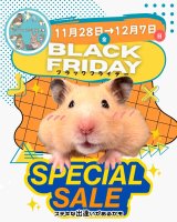 【アニマル大学にて開催中】ブラックフライデーセール可愛い動物たちの紹介♡