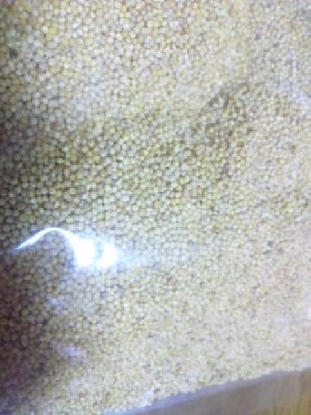 画像2: ウズラにあわ玉　７００ｇ (2)