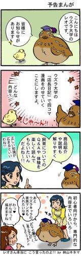 ４コマ漫画 - ウズラ大学 （ うずら 鶉 ウズラ ）