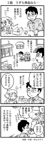 ４コマ漫画 - ウズラ大学 （ うずら 鶉 ウズラ ）