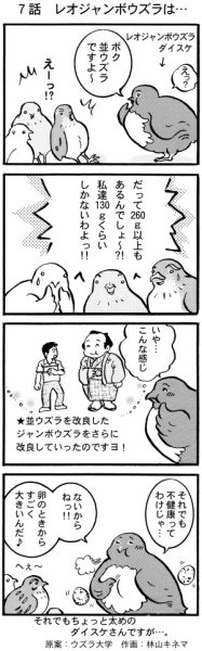 画像1: ウズラ大学　オリジナル４コマ漫画第７話 (1)