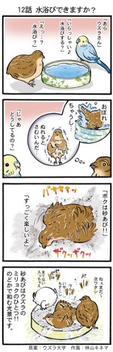 全商品 - ウズラ大学 （ うずら 鶉 ウズラ ） (Page 11)