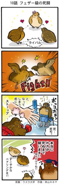 画像1: ウズラ大学　オリジナル４コマ漫画第１０話 (1)