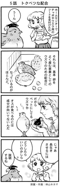画像1: ウズラ大学　オリジナル４コマ漫画第５話 (1)