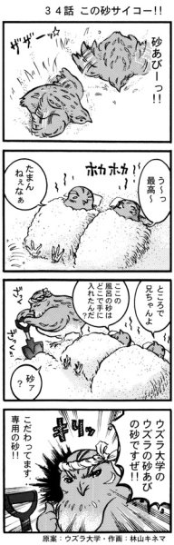 画像1: ウズラ大学　オリジナル４コマ漫画第３４話 (1)