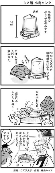 画像1: ウズラ大学　オリジナル４コマ漫画第３２話 (1)