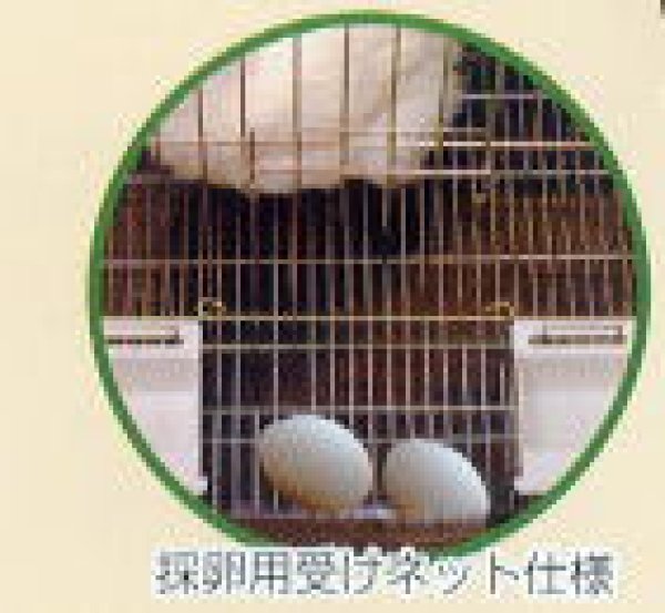 画像2: 送料無料 　ＧＢ　ラブリーコッコちゃん (2)