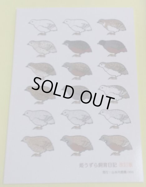 画像2: ＤＭ便無料　姫ウズラ飼育日記　改定版 (2)