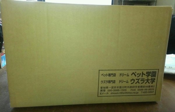 画像1: 送料無料　姫ウズラ用フード　ドリーム姫　２０ｋｇ箱入り (1)