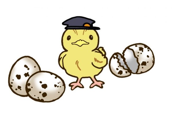 画像1: 外国産ウズラの種卵販売の注意  （購入前に必ずお読み下さい） (1)