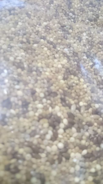 画像2: 小鳥用フード　ドリーム皮むき　７００ｇ (2)