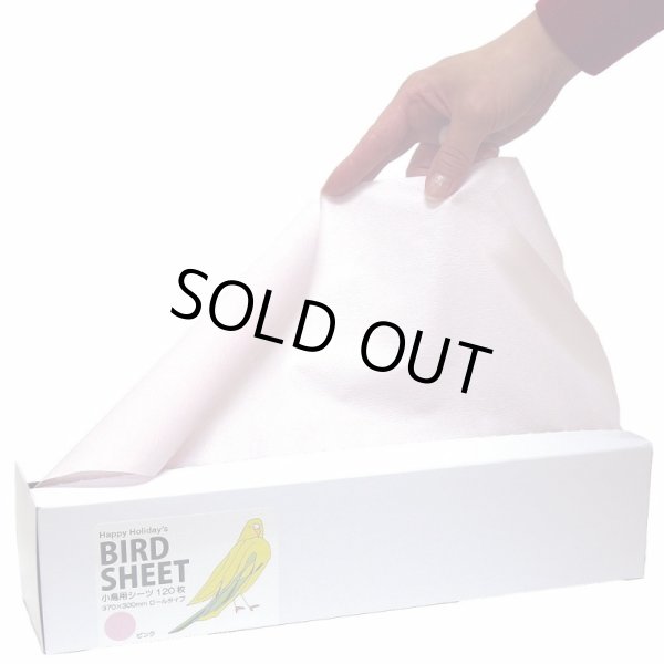 画像3: 送料無料　Ｐ２＆アソシエイツ 　小鳥用シーツ 120枚 　グリーン (3)