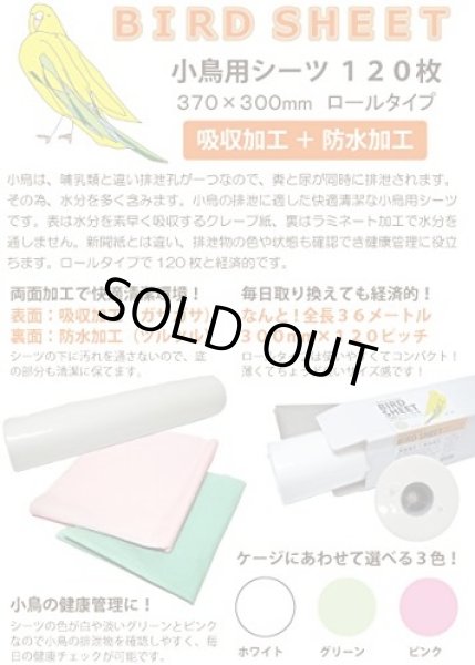 画像4: 送料無料　Ｐ２＆アソシエイツ 　小鳥用シーツ 120枚 　グリーン (4)