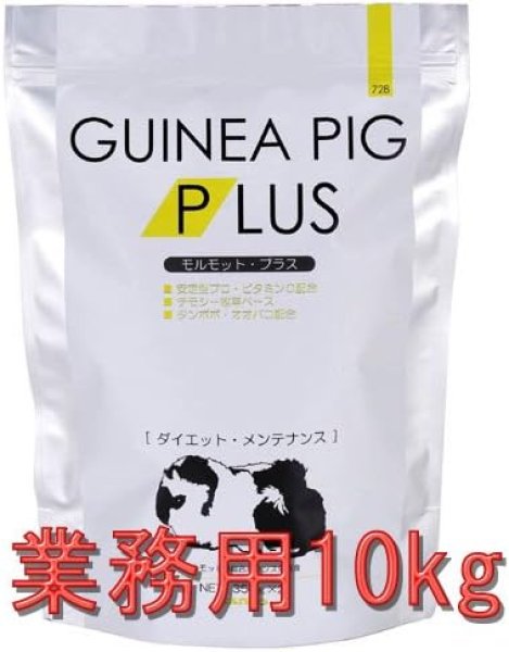 画像1: 送料無料　SANKO 業務用 モルモット・プラス ダイエット・メンテナンス 　１０kg (1)