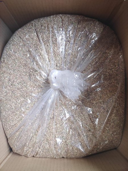 画像2: 送料無料　ウズラ大学   ウズラに青米 ５ｋｇ　2025年の新米のくず米・青米・小米 (2)