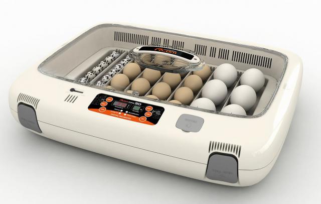 自動孵卵器 ふ卵器 温度表示 自動転卵 加湿 鶏卵16個