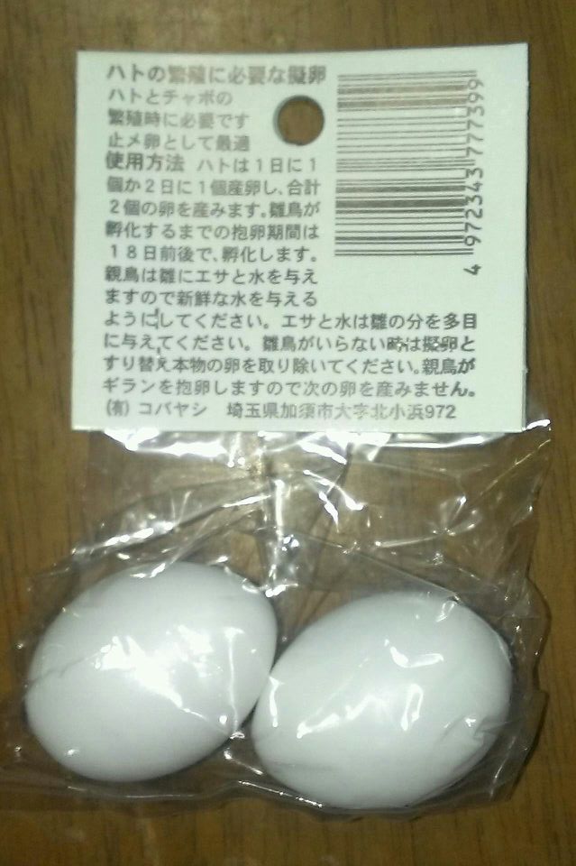 安心発送】 コバヤシ 鳥用 K-39 鳩ギラン 2個入り ×2 擬卵 atak.com.br